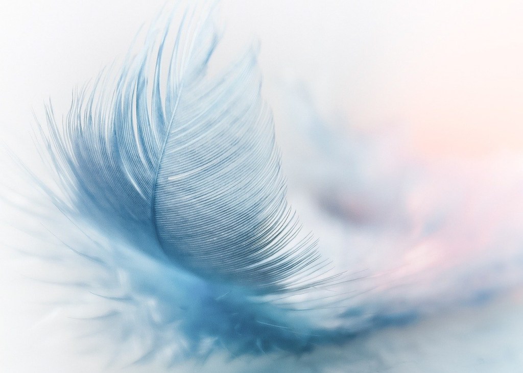 feather
